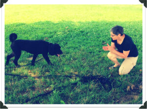 Recall in Fort Worth rescue dog