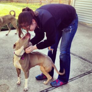 This three legged pit bull is often labeled as a fighting dog, though there's no evidence she was anything of the sort. 