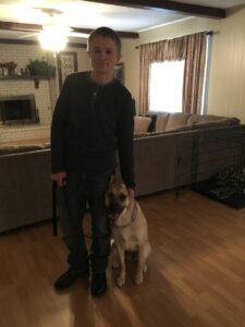 Dog Training Fort Worth Blog