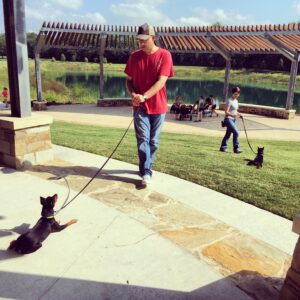 Fort Worth Dog Training - Heart of Texas Dog Training 