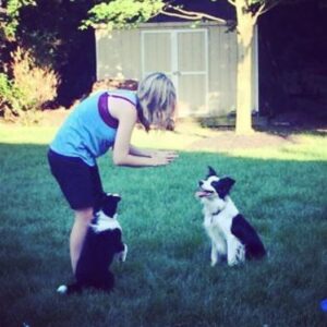 Dallas dog training programs give dogs a job!