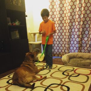 Our Dallas Dog Trainer always recommends in-home training!