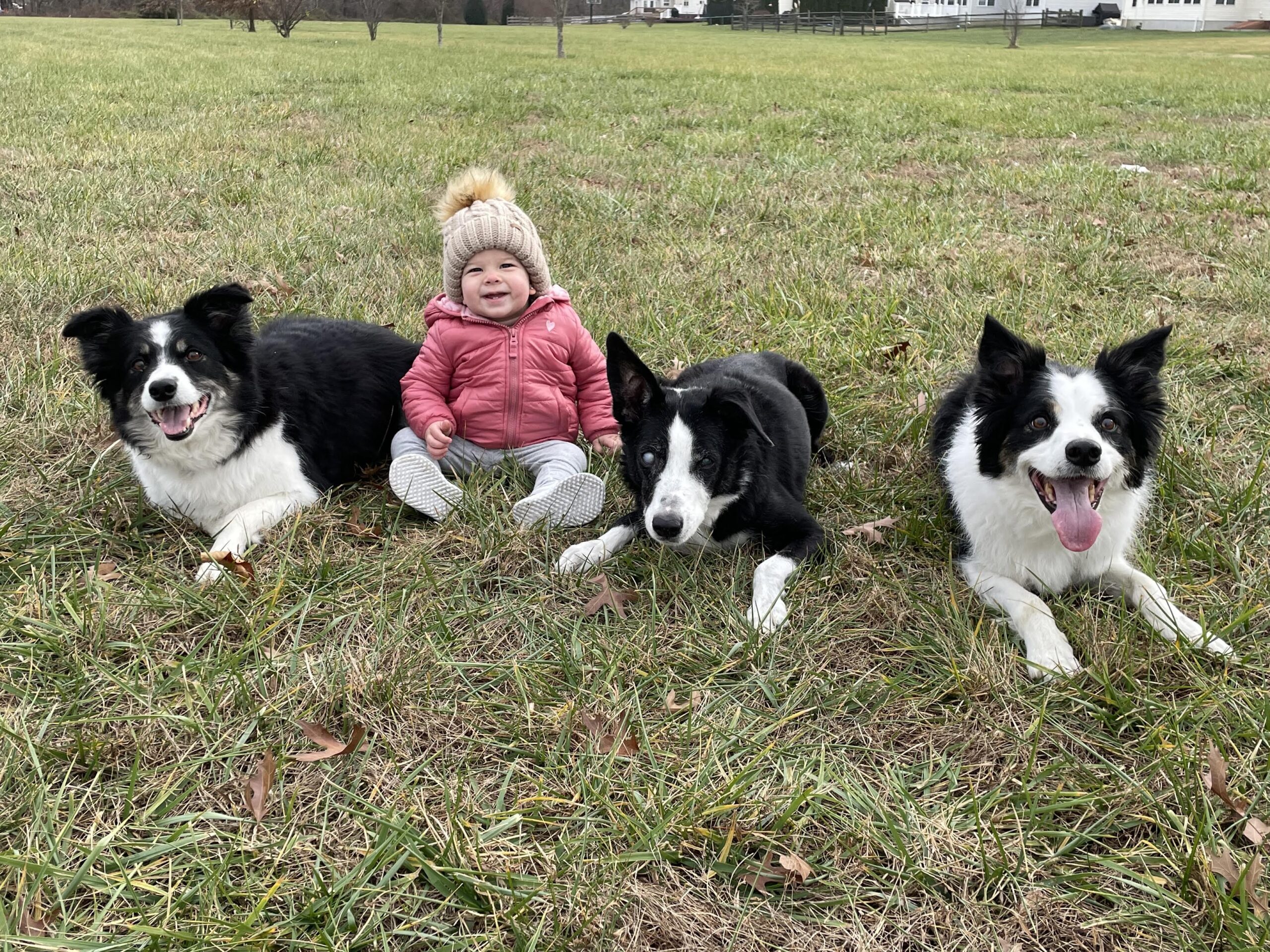 family and child safe training